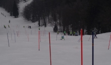 Sezona 2014/2015
